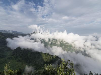 云雾山