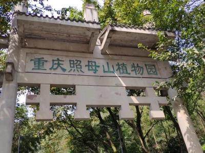 照母山植物园