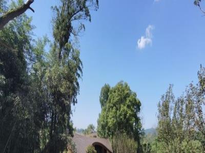 南川生态大观园
