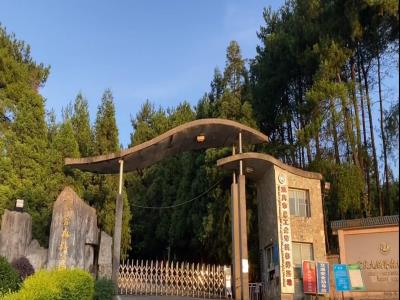 九锅箐森林公园