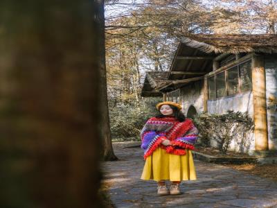 山王坪银杏林场