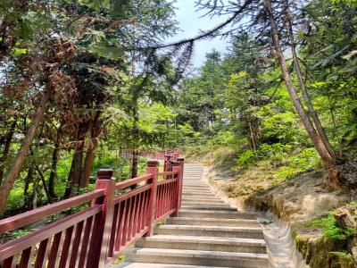 金剑山森林公园