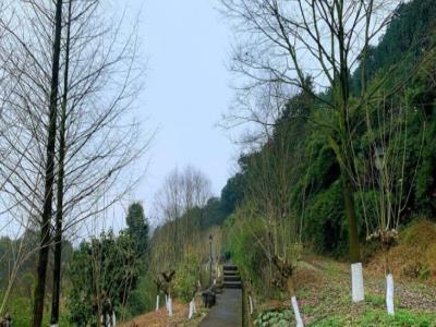 铜锣峡谷景区