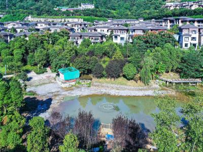 南山中央湿地公园