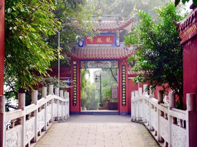 九龙坡区龙凤寺