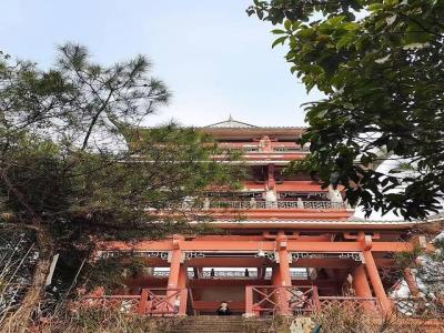 大渡口森林公园