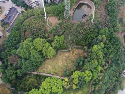 永川植物园