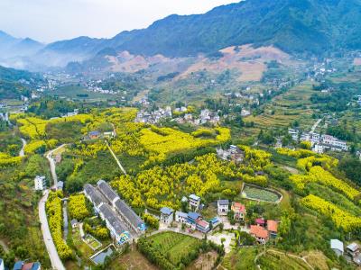 东升村