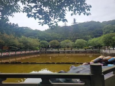 合川人民公园