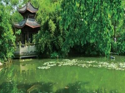 金鱼馆
