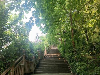 翠屏山公园