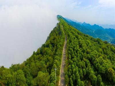 云龟山景区