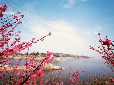 圣水湖桃花岛