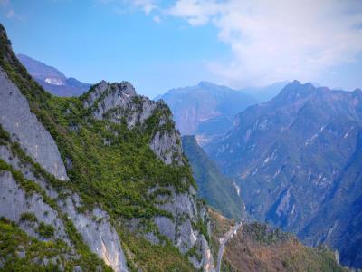 阴条岭自然保护区