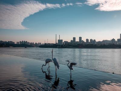 大鱼海棠公园