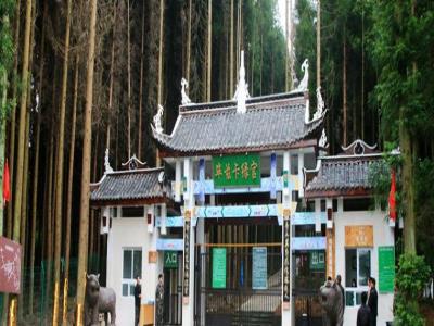 （重庆黄水旅游度假区）毕兹卡绿宫