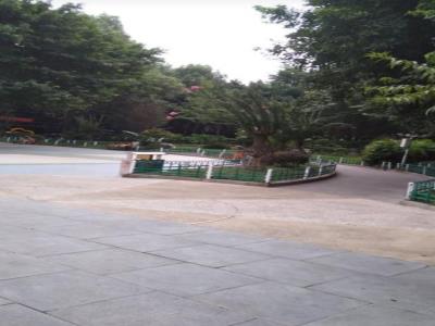 龙山街道龙脊广场