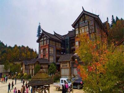 彩色森林