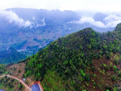 重庆彭水县阿依山樱花大草原旅游度假区