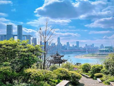 呼归石花阶公园