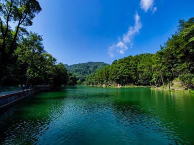 缙云山黛湖