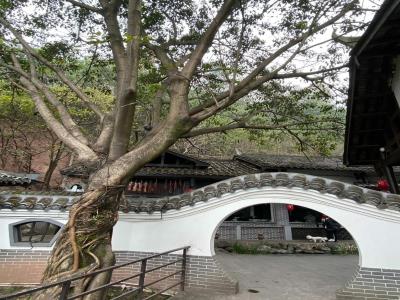陶然古镇