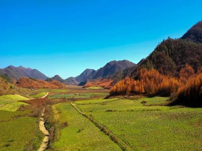 红池坝高山草场