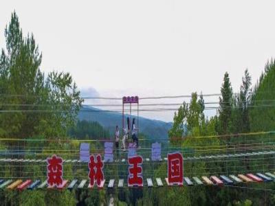 石柱森林王国度假区