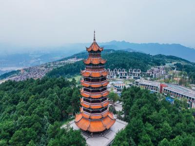 铁山坪森林公园