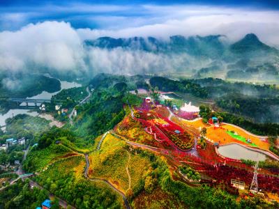 南湖多彩植物园