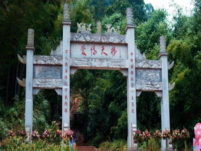 爱情天梯