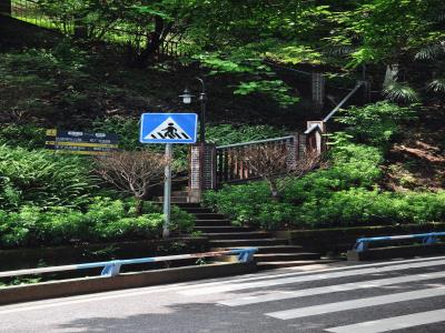 三层马路