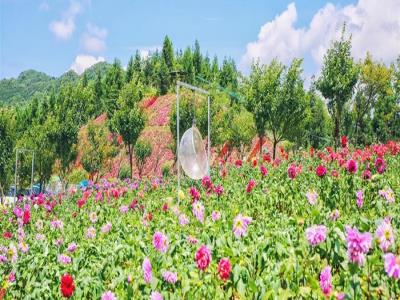 云中花都