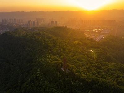照母山森林公园