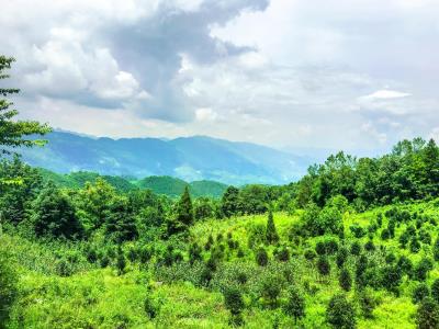摩围山景区