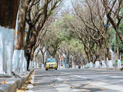 中山四路
