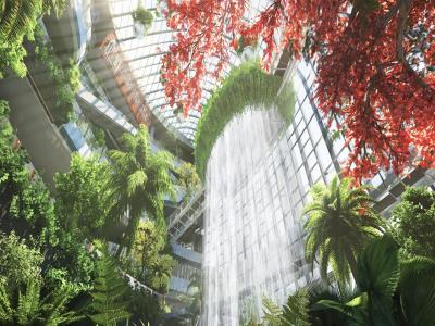 重庆光环购物公园室内植物园“沐光森林”
