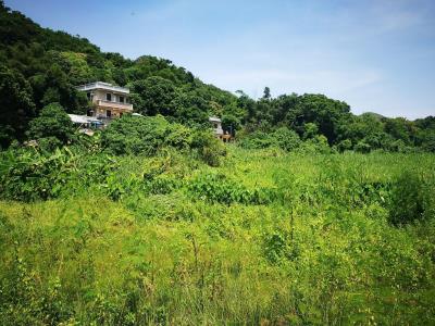 Countryside Adventure Tours