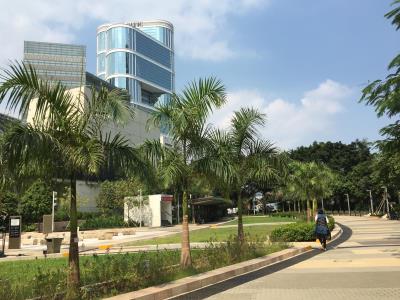 夏悫花园