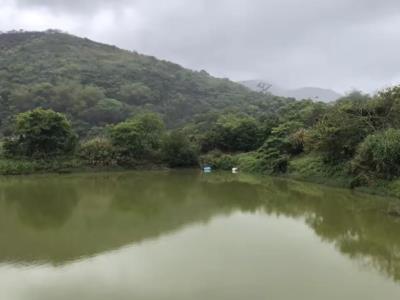 金门海水钓鱼场