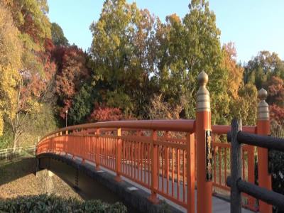 大澳龙田公园