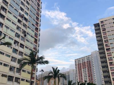 彩虹村金华楼