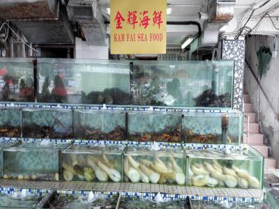 北社海傍路