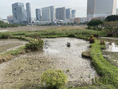 龙环葡韵人工湖湿地