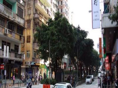高士德大马路