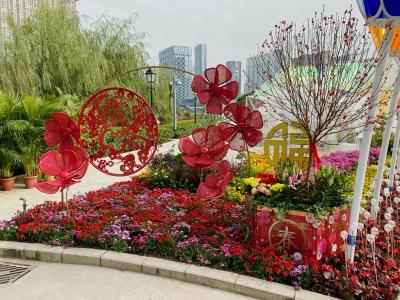 龙环葡韵花展场地