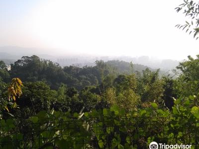 Dakeng No. 6 Healthy Trail
