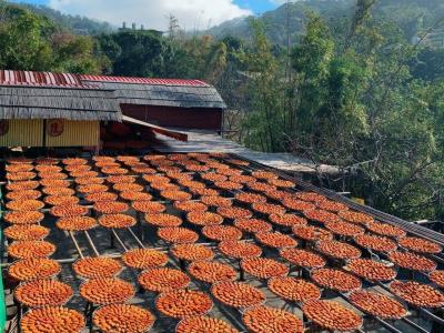 味卫佳柿饼观光农场