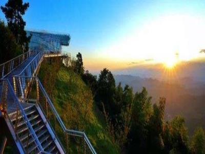 芭崎t望台