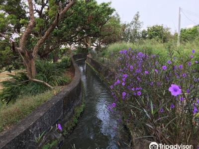 知高圳步道
